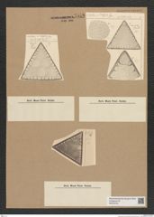 Diatomeae indet. Zeichnungen Sammlung Grunow Nr. 7558 (NHMW-BOT-W0376704)